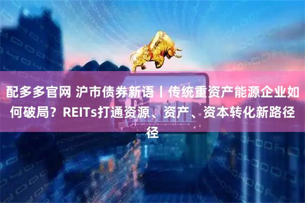 配多多官网 沪市债券新语丨传统重资产能源企业如何破局？REITs打通资源、资产、资本转化新路径